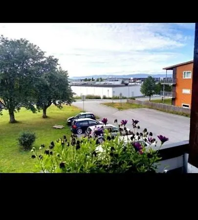 Lejlighed Apartamento Tipo Estudio Ranheim